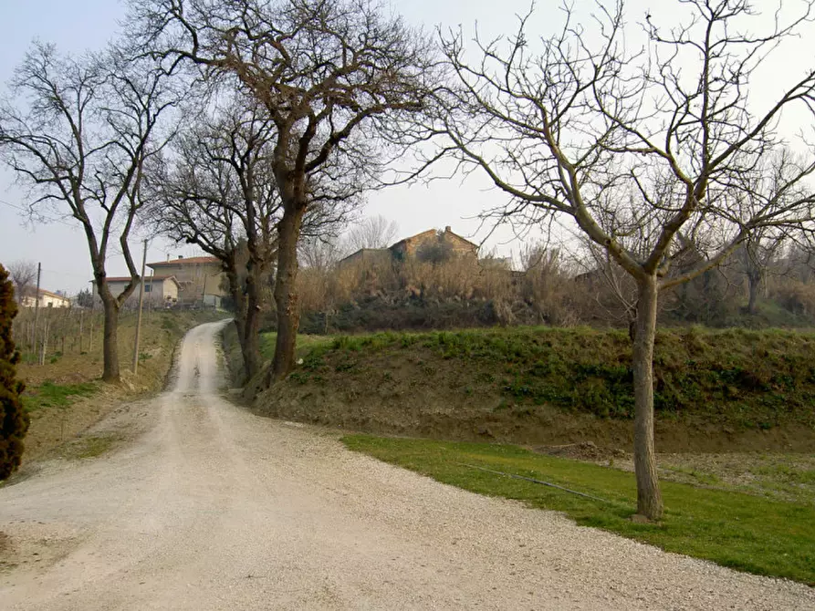 Immagine 17 di Rustico / casale in vendita  a Ostra