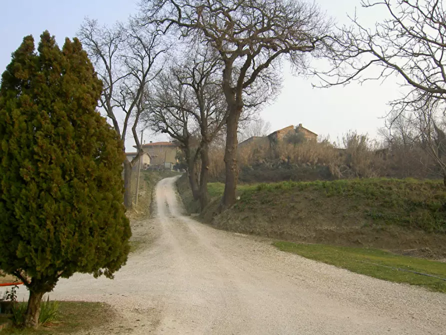 Immagine 18 di Rustico / casale in vendita  a Ostra