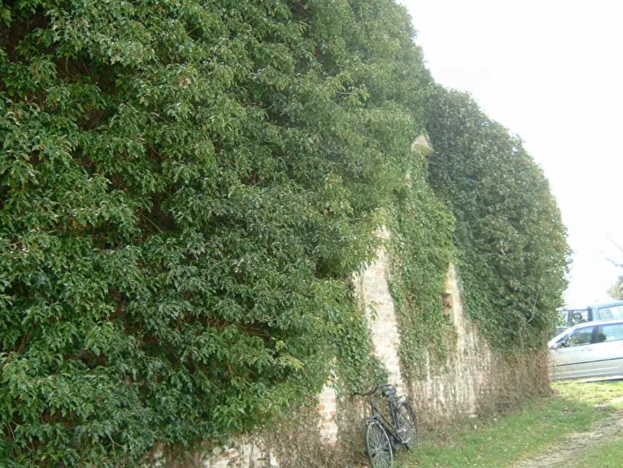 Immagine 12 di Rustico / casale in vendita  a Corinaldo