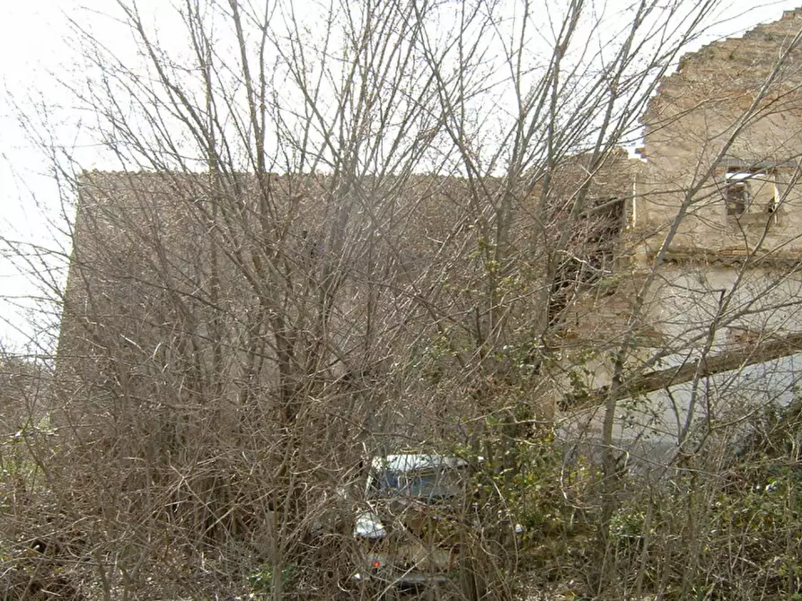 Immagine 14 di Rustico / casale in vendita  a Corinaldo