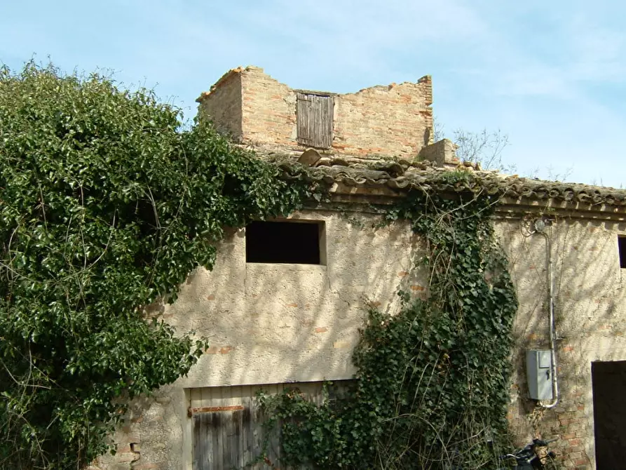 Immagine 17 di Rustico / casale in vendita  a Corinaldo