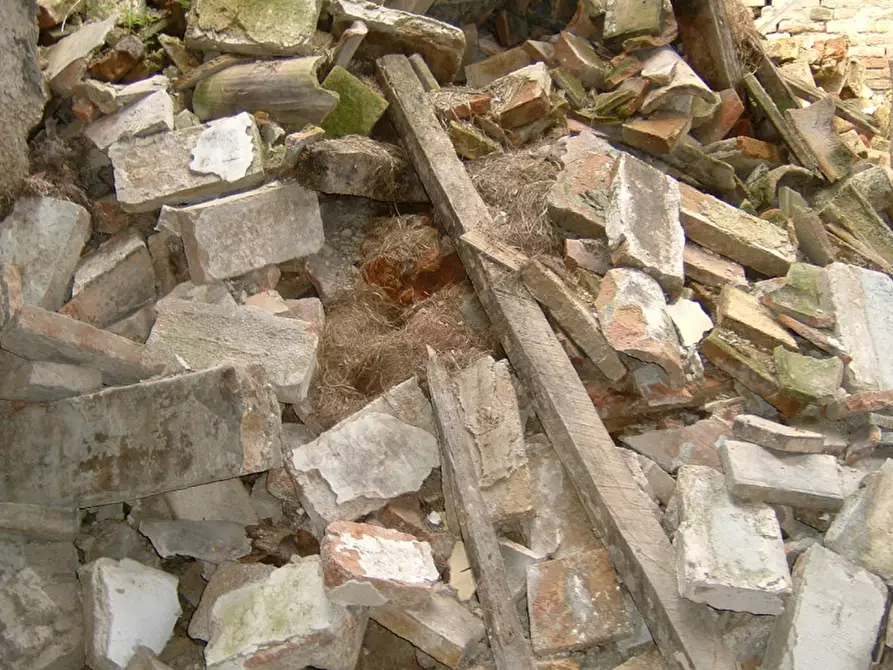 Immagine 21 di Rustico / casale in vendita  a Corinaldo