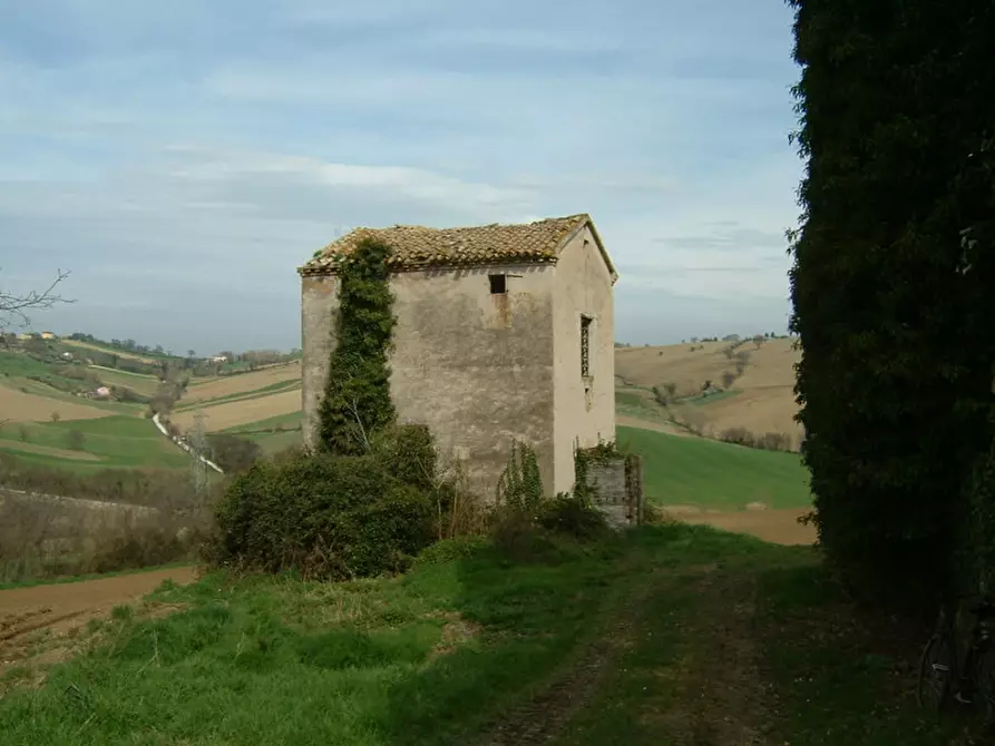 Immagine 22 di Rustico / casale in vendita  a Corinaldo