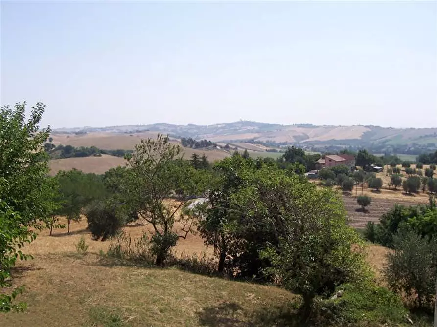 Immagine 4 di Rustico / casale in vendita  a Castelleone Di Suasa
