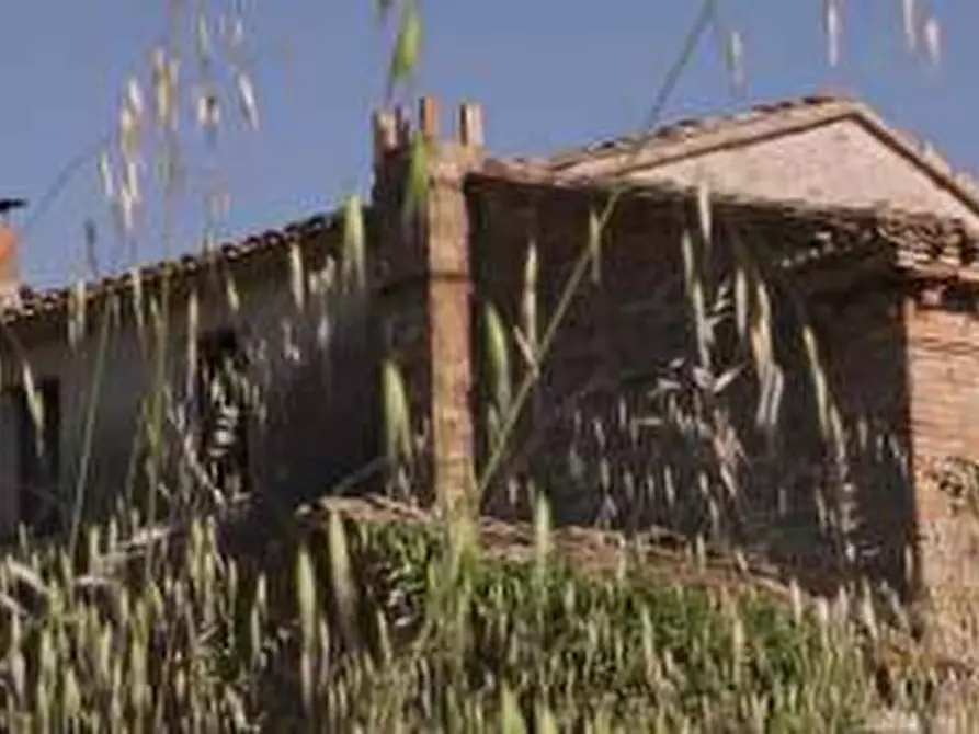 Immagine 9 di Rustico / casale in vendita  a Castelleone Di Suasa