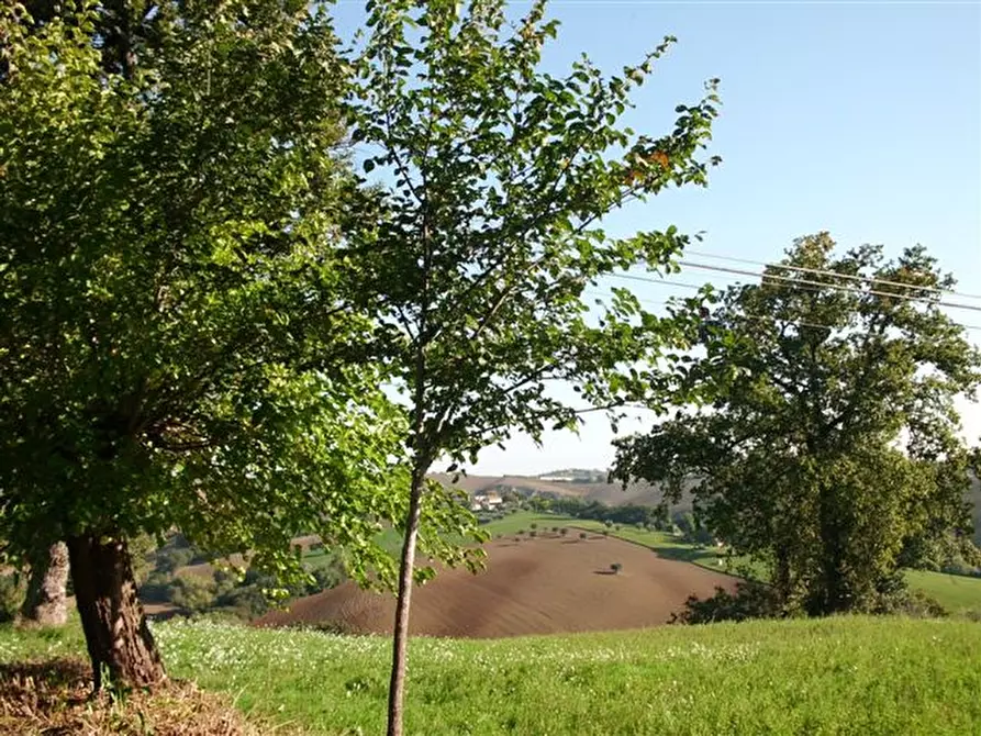 Immagine 10 di Rustico / casale in vendita  a Castelleone Di Suasa