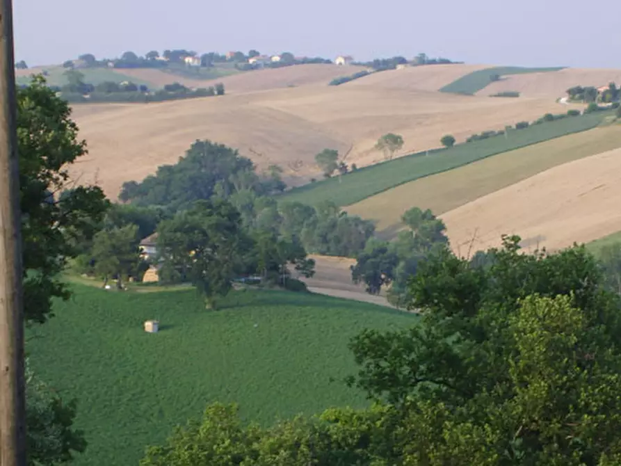 Immagine 13 di Rustico / casale in vendita  a Castelleone Di Suasa