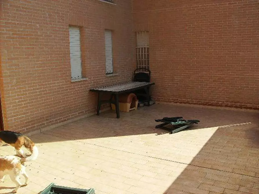 Immagine 8 di Appartamento in vendita  a Senigallia