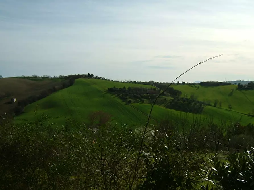 Immagine 2 di Rustico / casale in vendita  a Senigallia