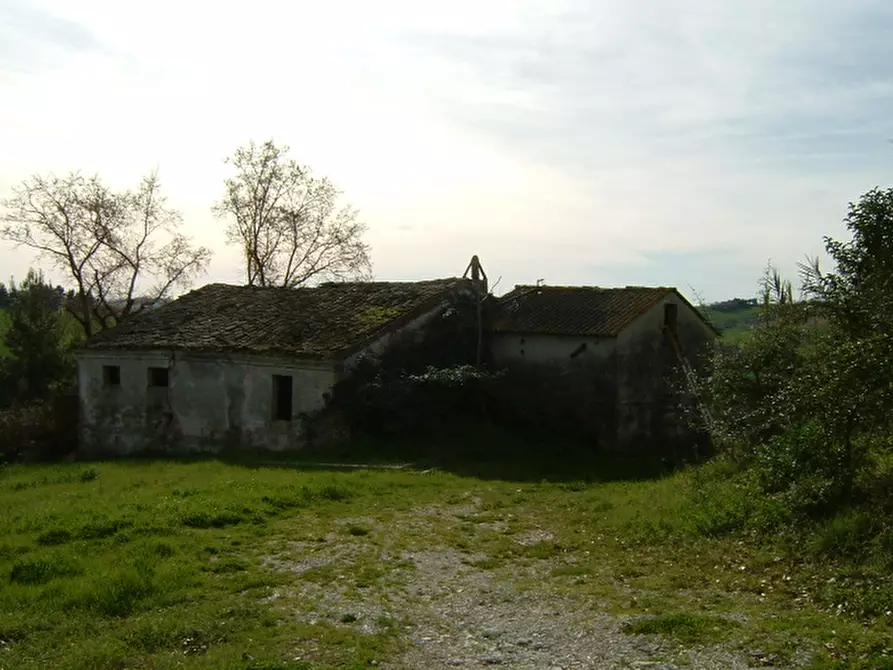 Immagine 3 di Rustico / casale in vendita  a Senigallia