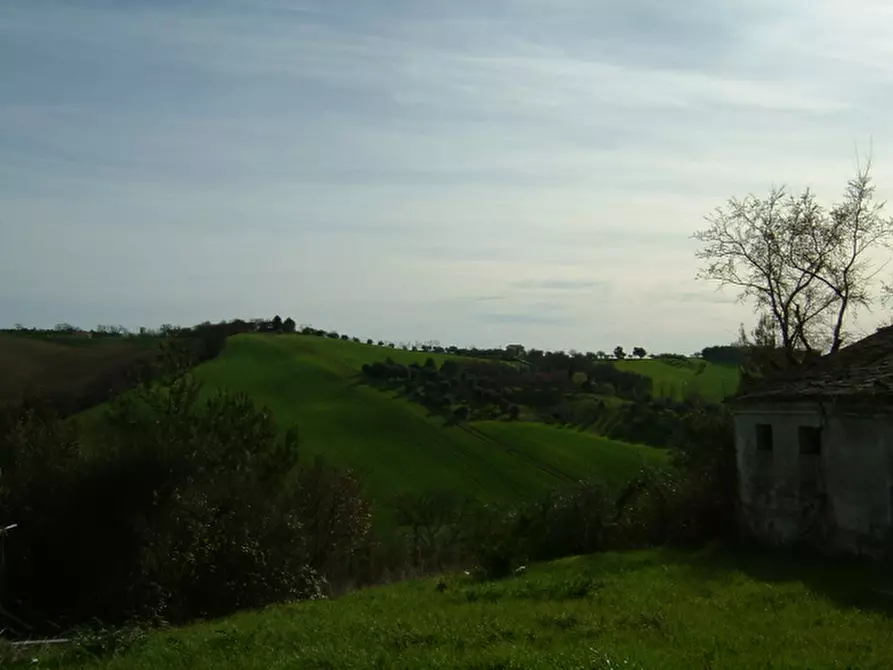 Immagine 4 di Rustico / casale in vendita  a Senigallia