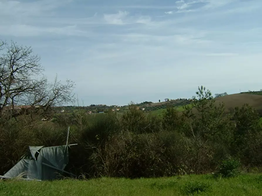 Immagine 5 di Rustico / casale in vendita  a Senigallia