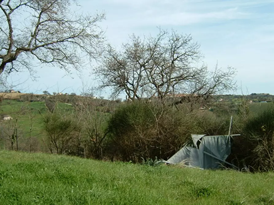 Immagine 6 di Rustico / casale in vendita  a Senigallia