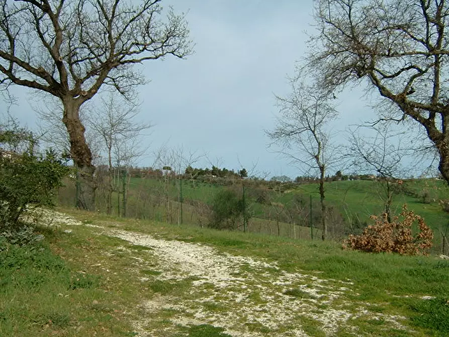 Immagine 7 di Rustico / casale in vendita  a Senigallia