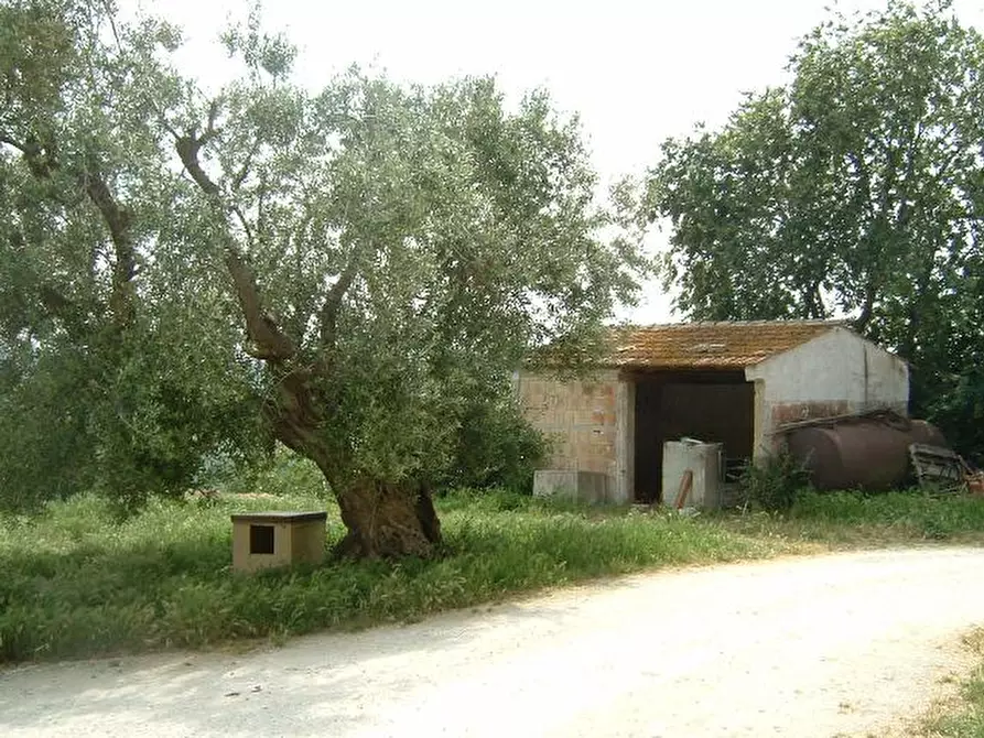 Immagine 9 di Rustico / casale in vendita  a Senigallia