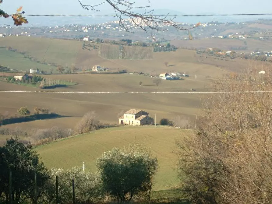 Immagine 3 di Rustico / casale in vendita  a Ostra