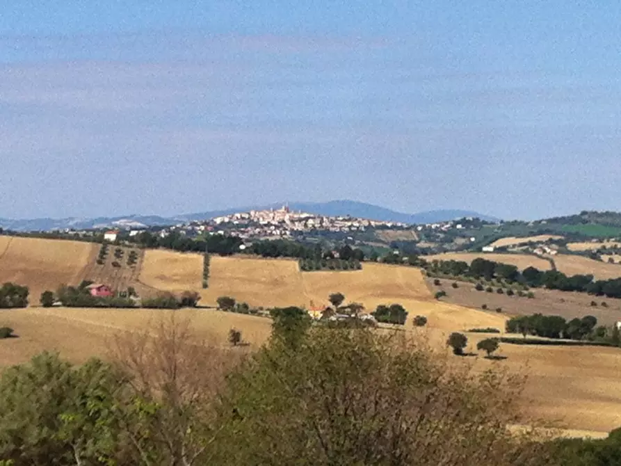 Immagine 9 di Rustico / casale in vendita  a Ostra
