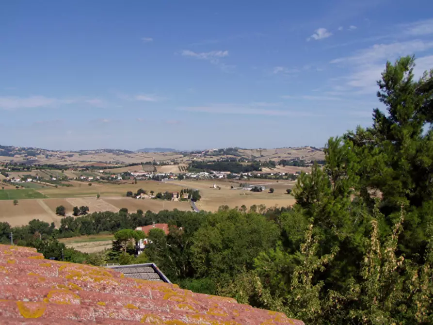 Immagine 22 di Appartamento in vendita  a Castelleone Di Suasa
