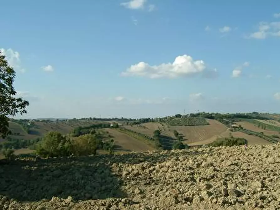 Immagine 3 di Rustico / casale in vendita  a Ostra