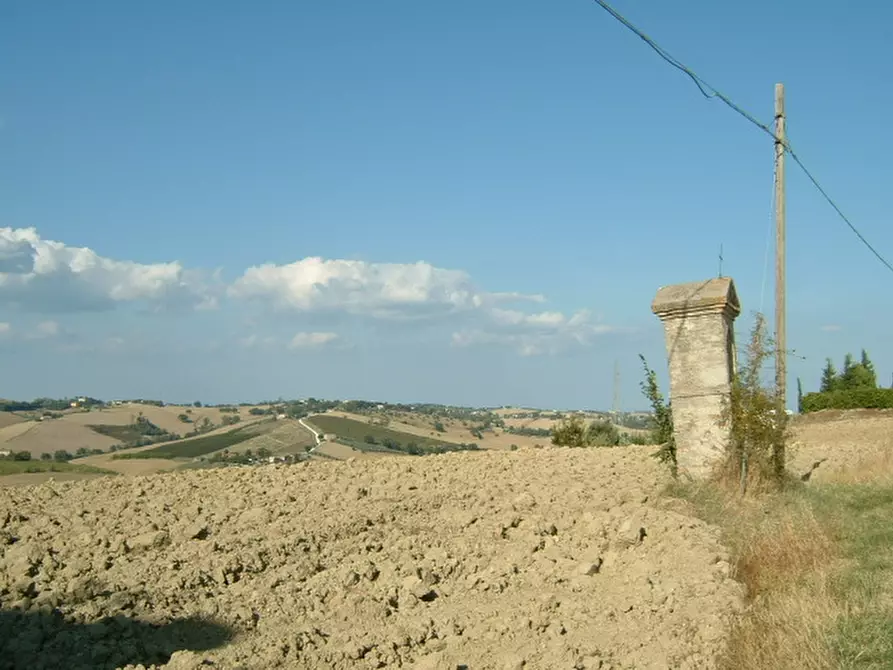 Immagine 7 di Rustico / casale in vendita  a Ostra