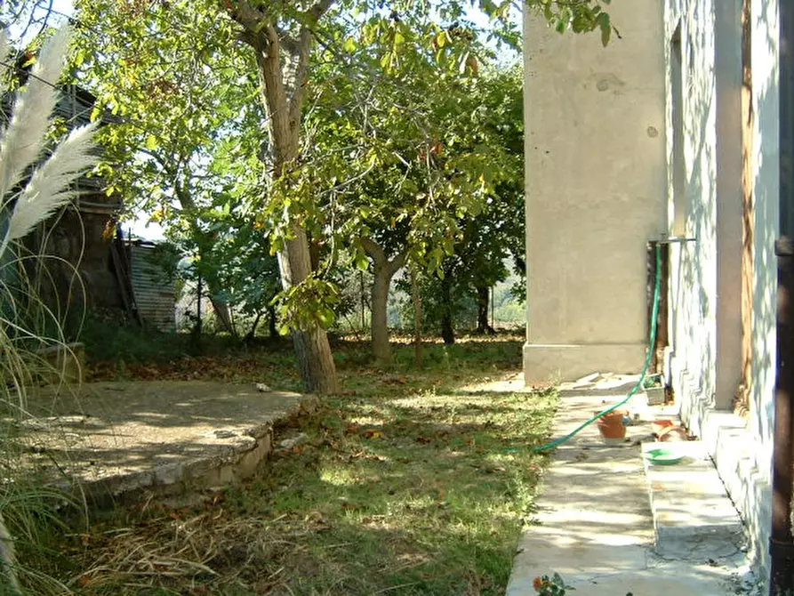 Immagine 8 di Rustico / casale in vendita  a Ostra
