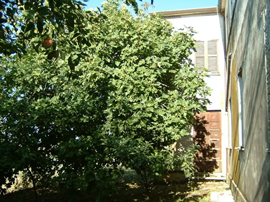 Immagine 9 di Rustico / casale in vendita  a Ostra