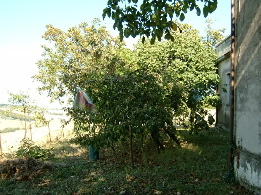 Immagine 11 di Rustico / casale in vendita  a Ostra