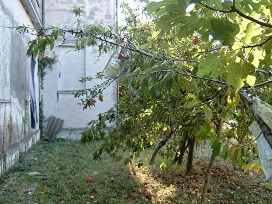 Immagine 13 di Rustico / casale in vendita  a Ostra