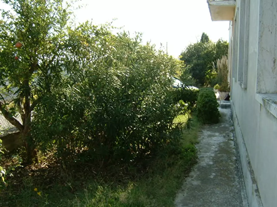 Immagine 14 di Rustico / casale in vendita  a Ostra