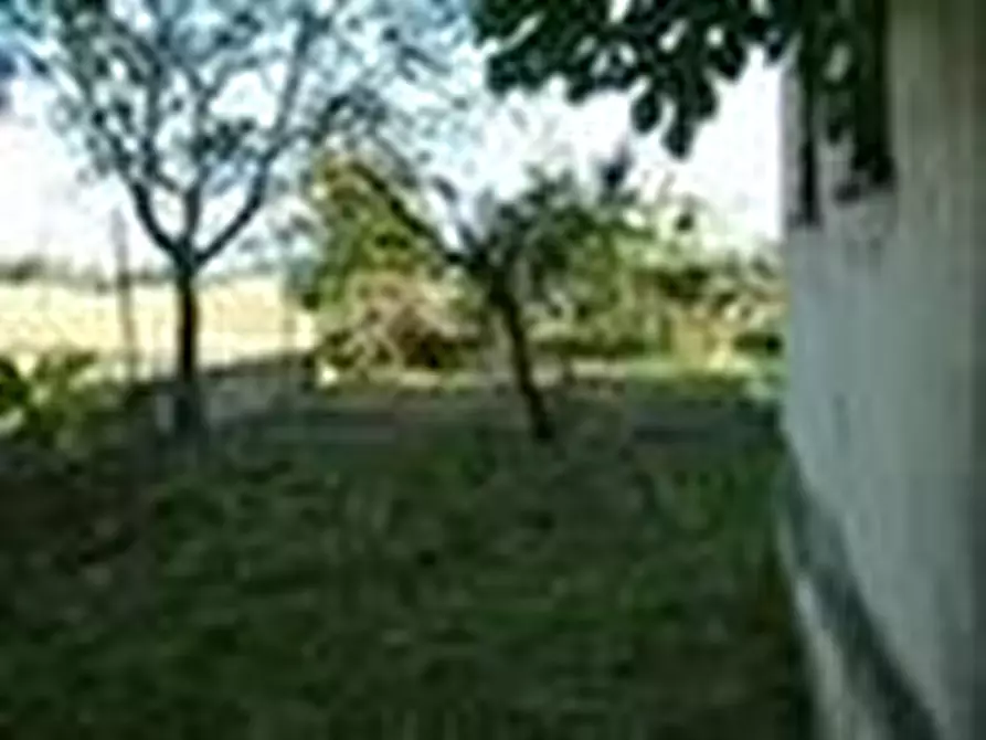 Immagine 15 di Rustico / casale in vendita  a Ostra