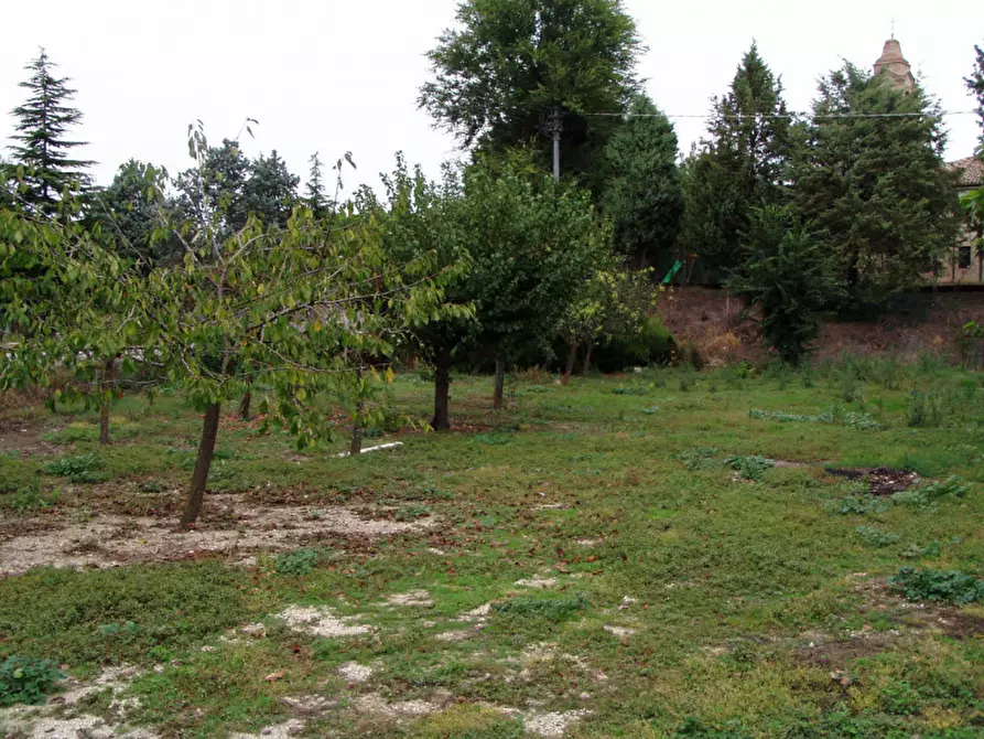 Immagine 17 di Casa indipendente in vendita  a Corinaldo