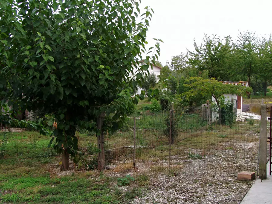 Immagine 18 di Casa indipendente in vendita  a Corinaldo
