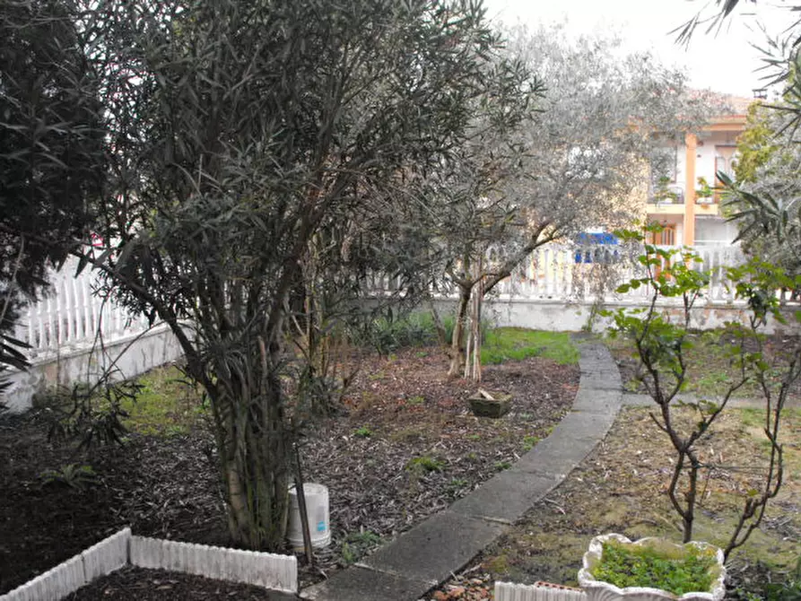 Immagine 16 di Appartamento in vendita  a Senigallia