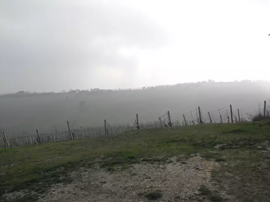 Immagine 4 di Rustico / casale in vendita  a Senigallia