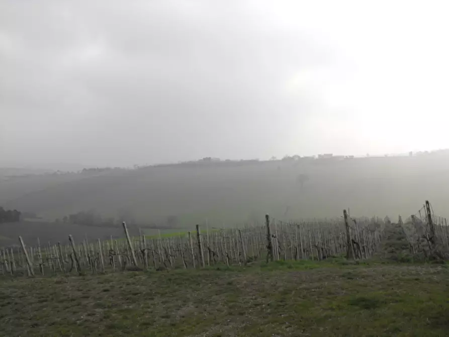 Immagine 5 di Rustico / casale in vendita  a Senigallia