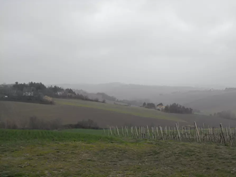 Immagine 6 di Rustico / casale in vendita  a Senigallia