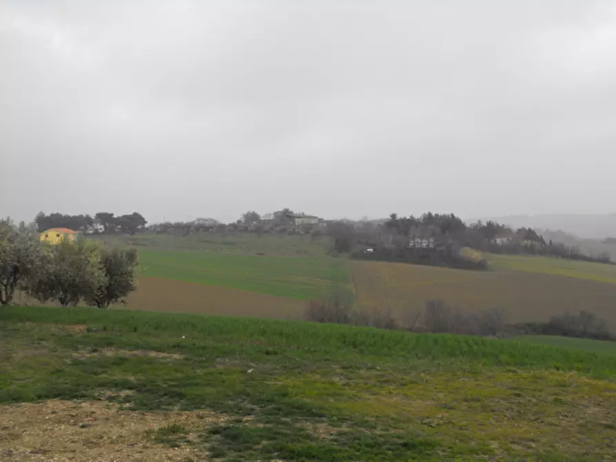 Immagine 7 di Rustico / casale in vendita  a Senigallia