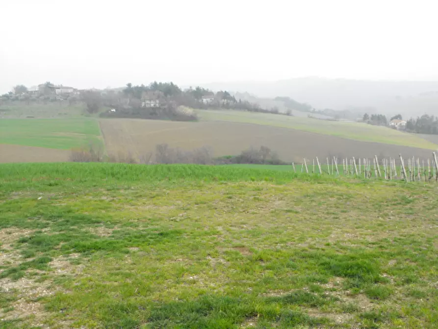 Immagine 8 di Rustico / casale in vendita  a Senigallia