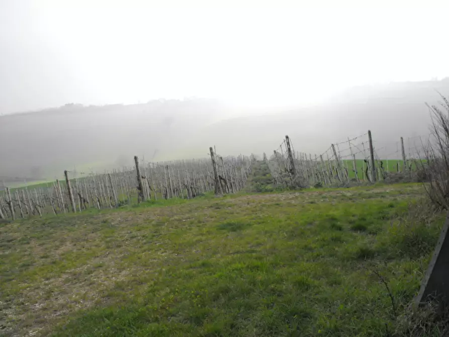 Immagine 9 di Rustico / casale in vendita  a Senigallia