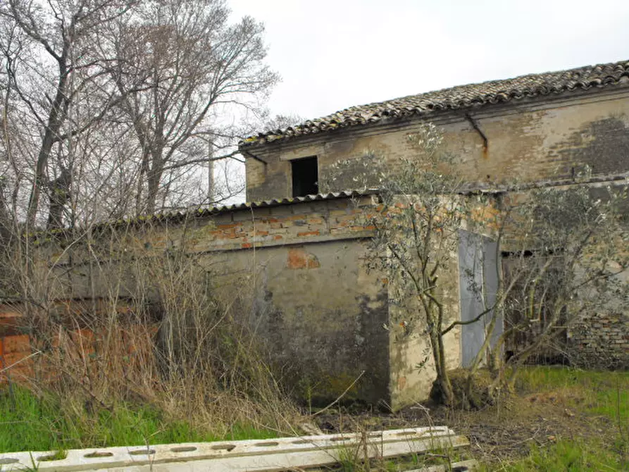 Immagine 10 di Rustico / casale in vendita  a Senigallia