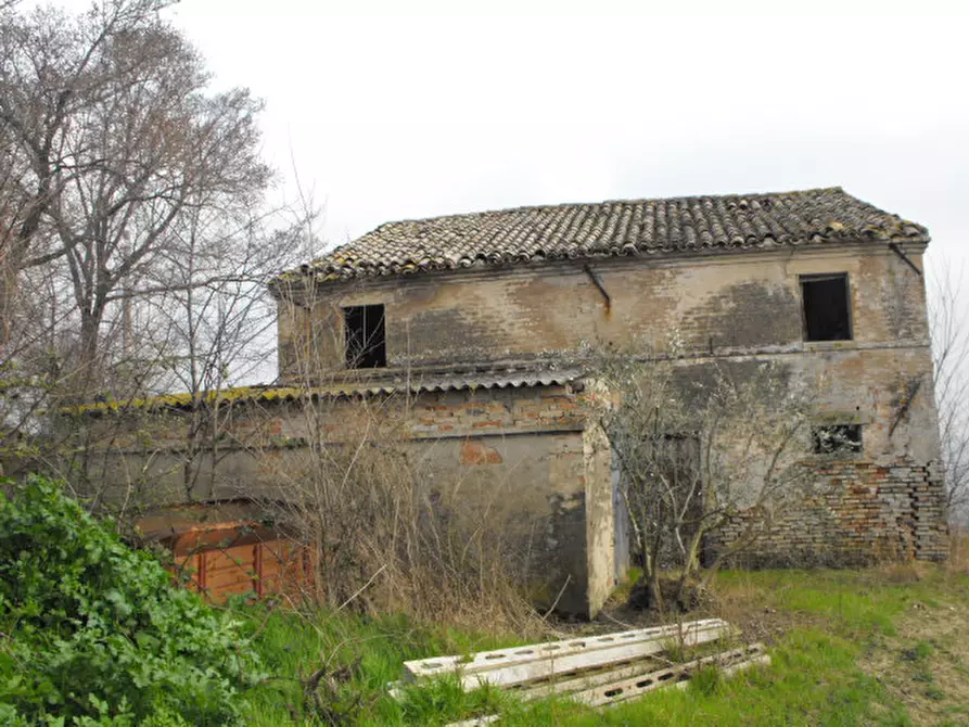 Immagine 11 di Rustico / casale in vendita  a Senigallia