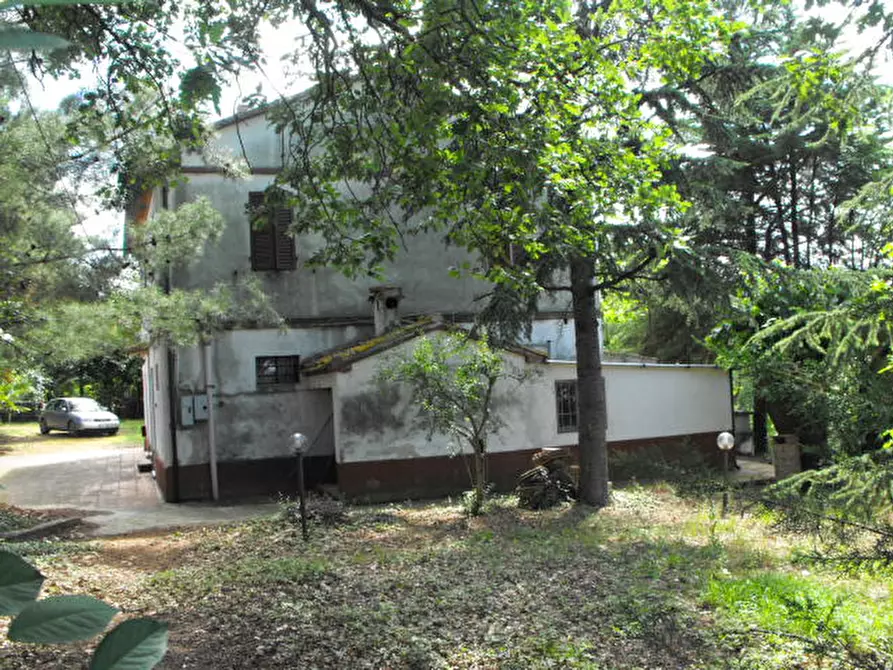 Immagine 1 di Rustico / casale in vendita  a Morro D'alba