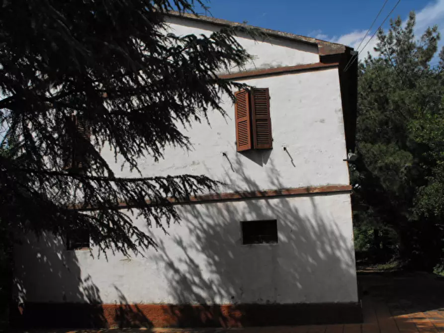 Immagine 3 di Rustico / casale in vendita  a Morro D'alba