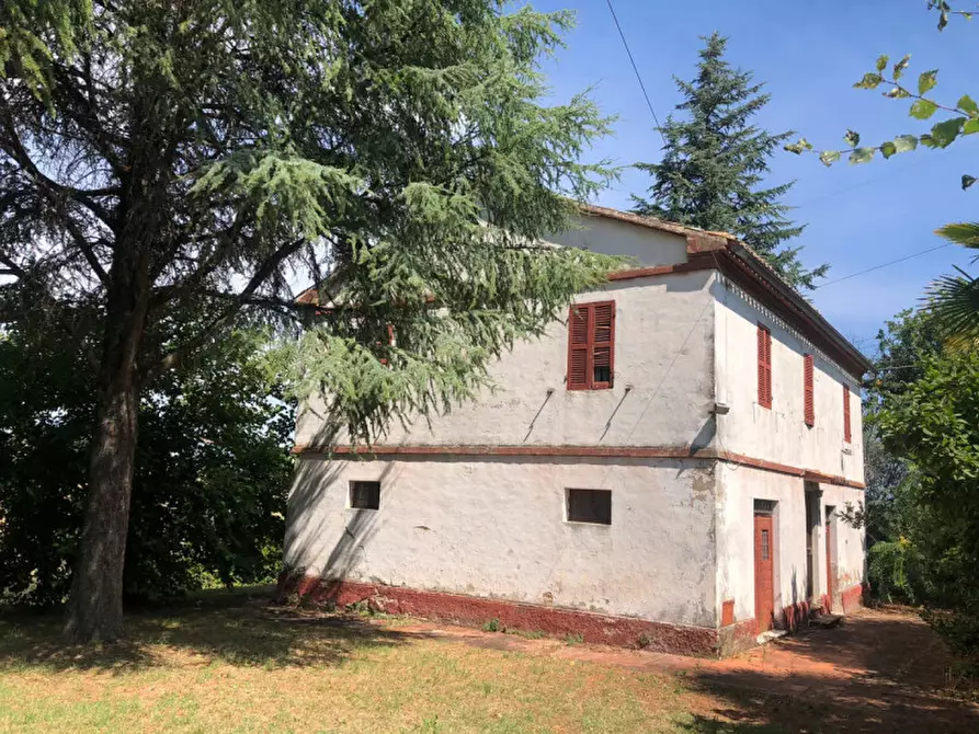 Immagine 4 di Rustico / casale in vendita  a Morro D'alba