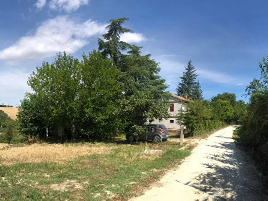 Immagine 8 di Rustico / casale in vendita  a Morro D'alba