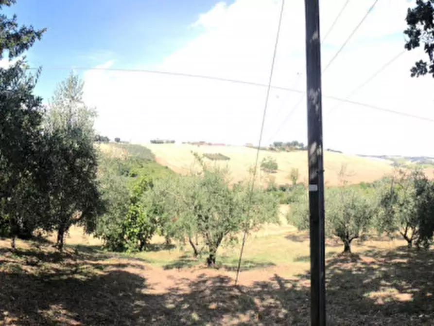 Immagine 9 di Rustico / casale in vendita  a Morro D'alba