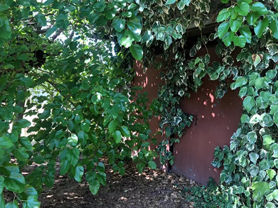 Immagine 12 di Rustico / casale in vendita  a Morro D'alba