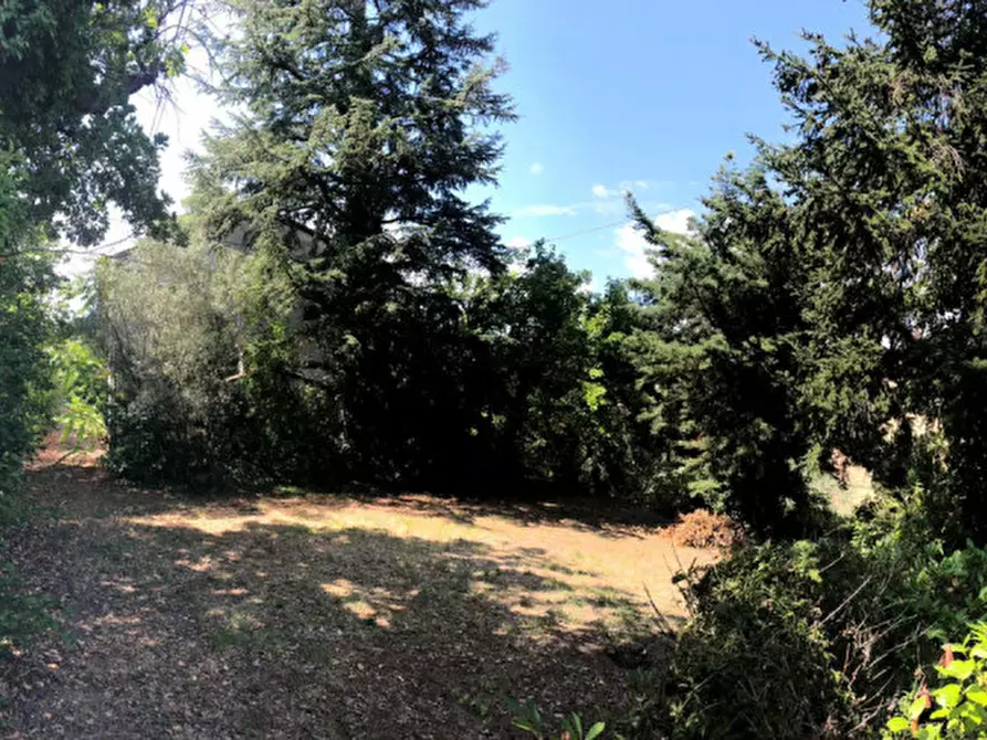 Immagine 13 di Rustico / casale in vendita  a Morro D'alba