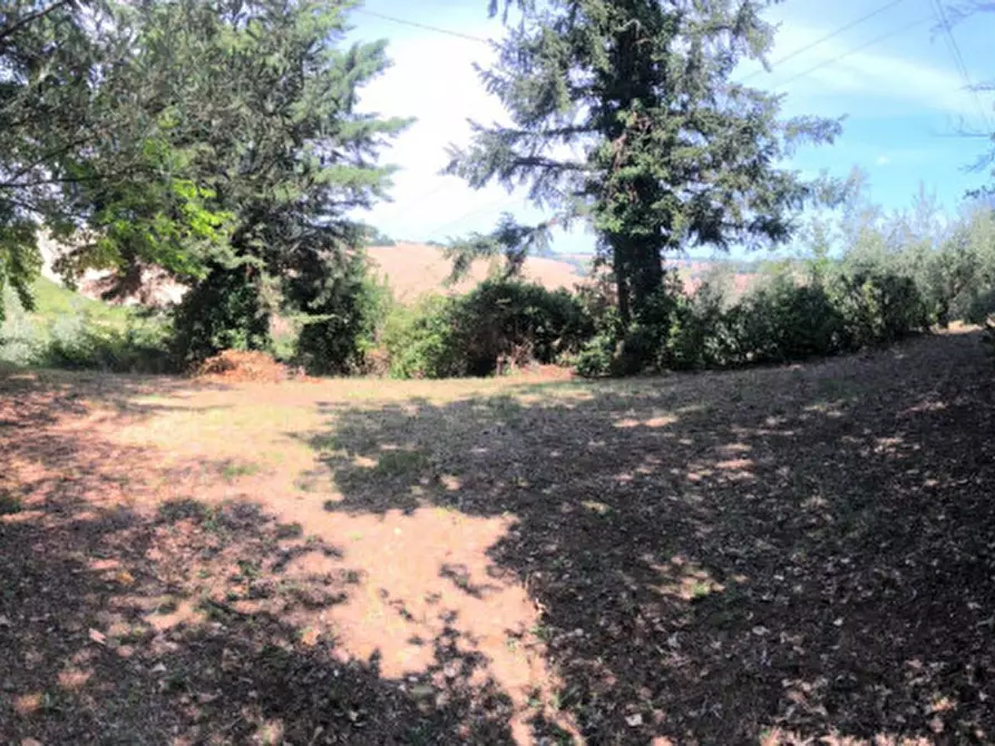 Immagine 15 di Rustico / casale in vendita  a Morro D'alba