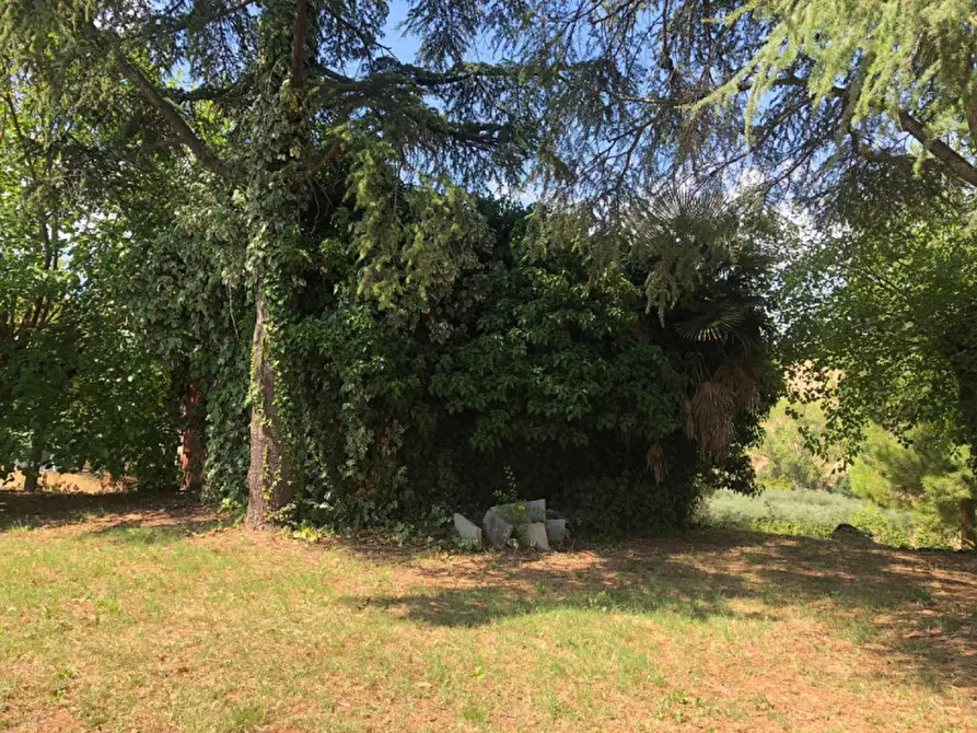 Immagine 16 di Rustico / casale in vendita  a Morro D'alba